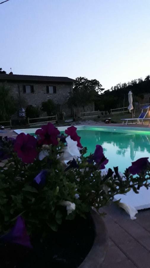 Agriturismo Vista Sole Villa Mercatale  Dış mekan fotoğraf
