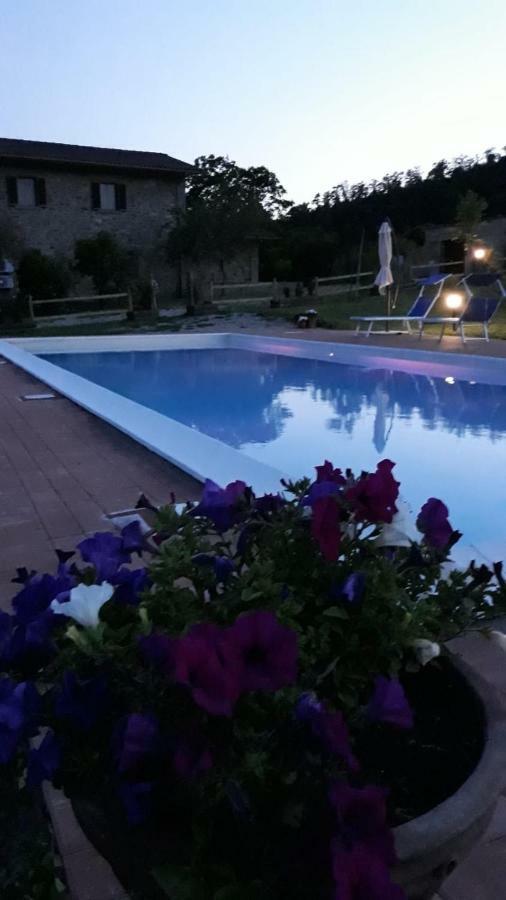 Agriturismo Vista Sole Villa Mercatale  Dış mekan fotoğraf