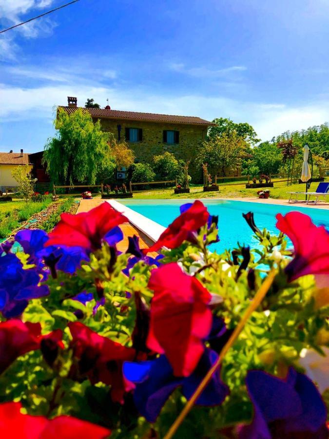 Agriturismo Vista Sole Villa Mercatale  Dış mekan fotoğraf